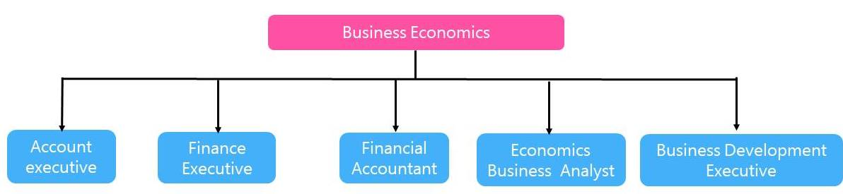 Business Economics Options